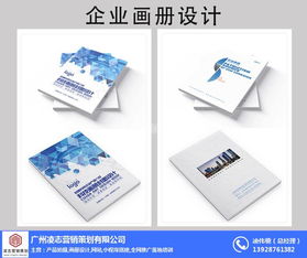 凌志營銷策劃 專業(yè)企業(yè)畫冊設計與軟件開發(fā)服務