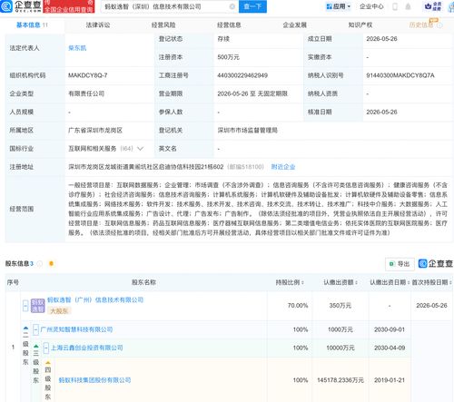 螞蟻集團攜手伙伴成立信息技術(shù)公司，聚焦AI及信息系統(tǒng)集成服務(wù)